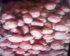 Lal Rajendra 1 Potato for sale in Barabanki