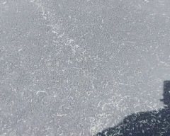 Black Urad for sale in Bundi