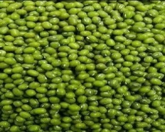 A Grade Quality Moong for sale in Jalore