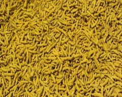 Normal Turmeric for sale in Krishna