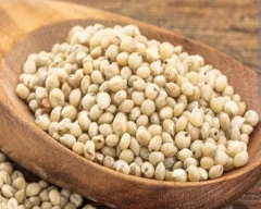 White Jowar for sale in Guntur