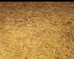 Normal Basmati Rice for sale in Moradabad