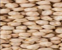 kabuli Chana for sale in Dharwad