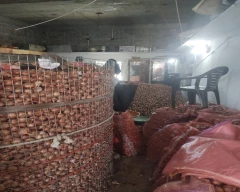 Golta Red Onion for sale in Rajgarh