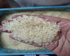 IR 64 Rice for sale in West Godavari