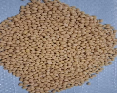 Indian Urad Dal for sale in Chennai