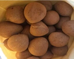 Normal Desiccated Coconut for sale in Mandya