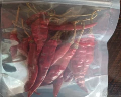 Teja Dry Chilli for sale in Katni