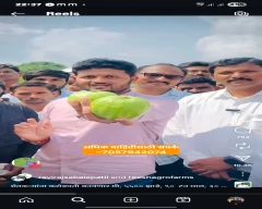 A Grade Quality Lemon for sale in Buldhana