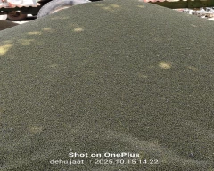 Virat gold Moong for sale in Barmer