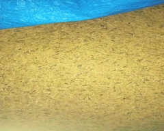 Normal Paddy for sale in Pratapgarh