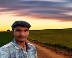 Normal Marigold for sale in Hingoli