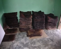 Normal Rubber for sale in West Garo Hills
