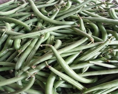 Normal French beans for sale in Jalna