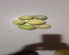 Normal Lemon for sale in Kolar