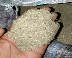 Other Jeera for sale in Jaisalmer