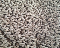 Normal Beetroot for sale in Jaunpur