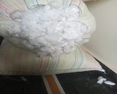 Normal Cotton Seed DOC for sale in Kurnool