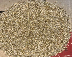 Split Coriander for sale in Jaipur