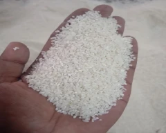 Broken Rice for sale in Gondia