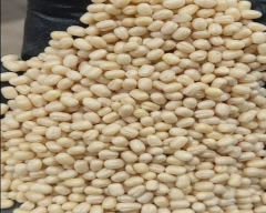 Indian Urad Dal for sale in Hyderabad