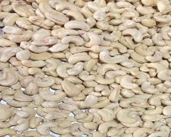 W - 240 Cashew for sale in Cuddalore