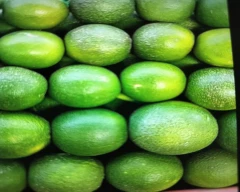A Grade Quality Orange for sale in Jalna