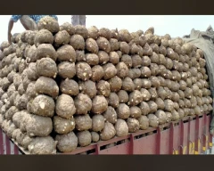 A Grade Quality Elephant Yam for sale in Chennai