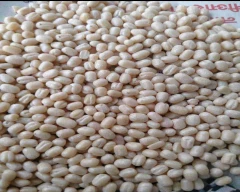 Indian Urad Dal for sale in Hyderabad