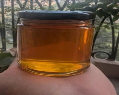 Normal Honey for sale in Gurugram (Gurgaon)