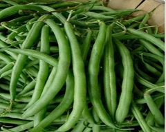 Normal French beans for sale in Haveri