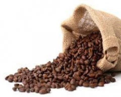 Robusta Coffee required in Mysuru