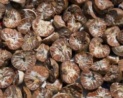 Mura Arecanut required in Sabarkantha