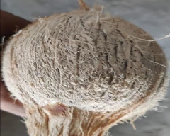 De Husked Coconut for sale in Coimbatore