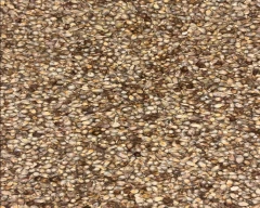 Normal Bajra for sale in Alwar