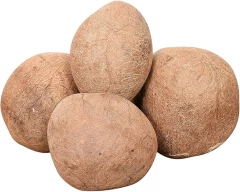 Normal Coconut required in Bareilly