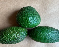 Hass Avocado for sale in Guntur