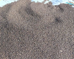 Normal Cowpea for sale in Bhadradri Kothagudem