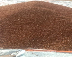 Normal Chana Dal for sale in YSR District