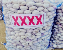 A Grade Quality Garlic for sale in Bengaluru Urban