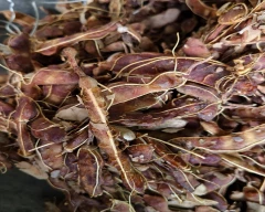 A Grade Quality Tamarind for sale in Gajapati