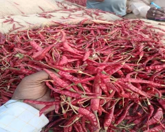 Teja Dry Chilli for sale in Warangal (Rural)