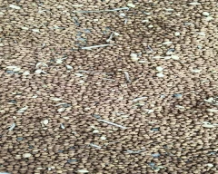 Normal Chana Dal for sale in Nirmal