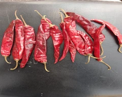 Powder Dry Chilli for sale in Warangal (Rural)