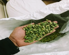 8 MM Cardamom for sale in Idukki