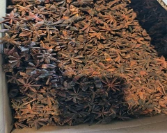 Normal Star Anise for sale in Mumbai City