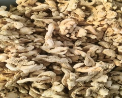 A Grade Quality Dried Ginger for sale in Aurangabad