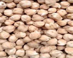 kabuli Chana for sale in Aurangabad
