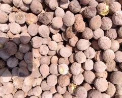 Dried Baheda for sale in Jalgaon