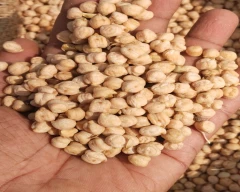 kabuli Chana for sale in Kurnool